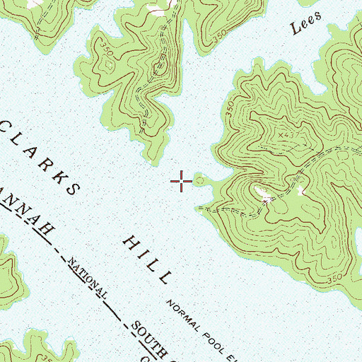 Topographic Map of Lees Branch, SC