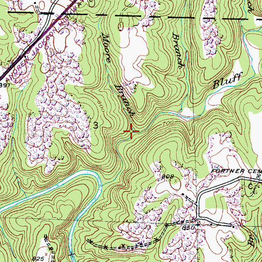 Topographic Map of Moore Branch, AL