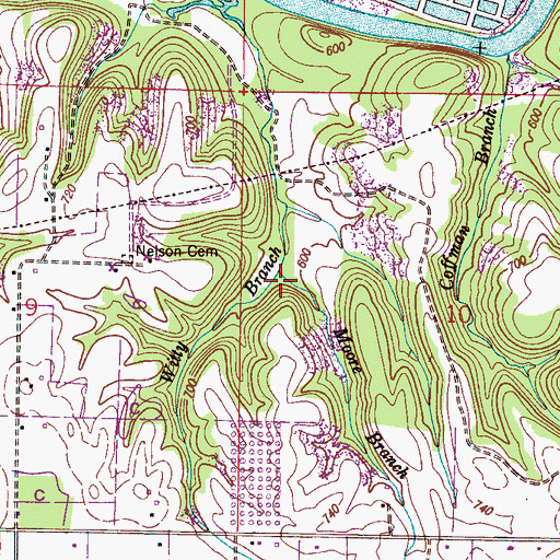 Topographic Map of Moore Branch, AL