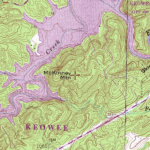 Topographic Map of McKinney Mountain, SC