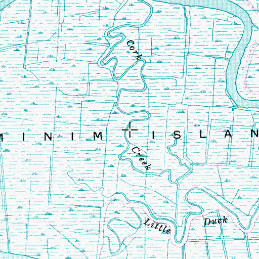 Topographic Map of Minim Island, SC