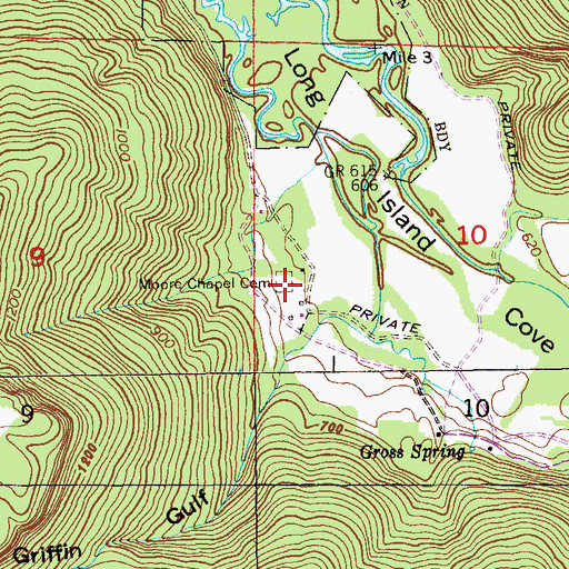Topographic Map of Moore Chapel Cemetery, AL