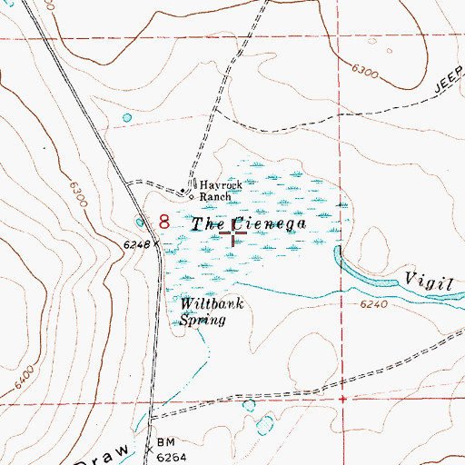 Topographic Map of The Cienega, AZ
