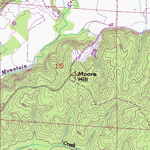 Topographic Map of Moore Hill, AL