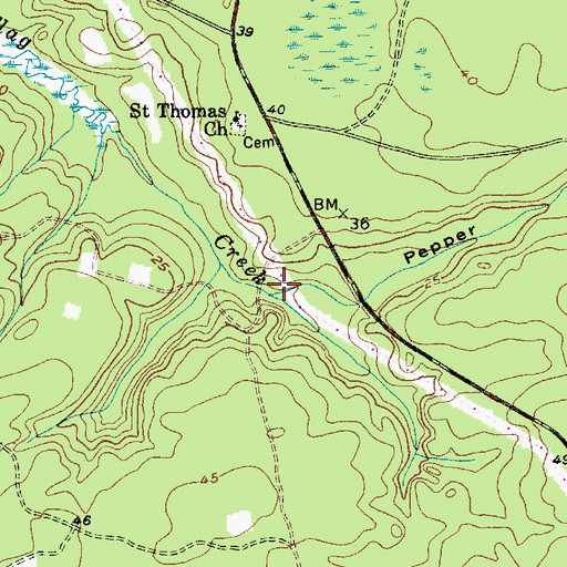 Topographic Map of Pepper Gully, SC
