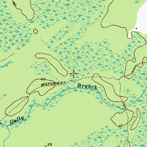 Topographic Map of Peters Swamp, SC