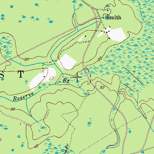 Topographic Map of Pinckney Reserve Branch, SC