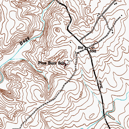 Topographic Map of Pine Burr School, SC