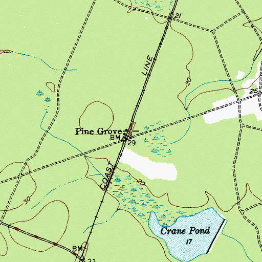 Topographic Map of Pine Grove, SC