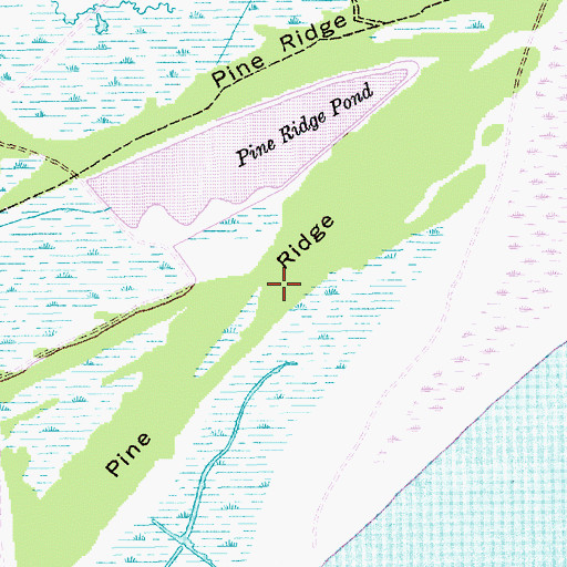 Topographic Map of Pine Ridge, SC