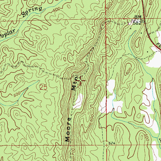 Topographic Map of Moore Mountain, AL