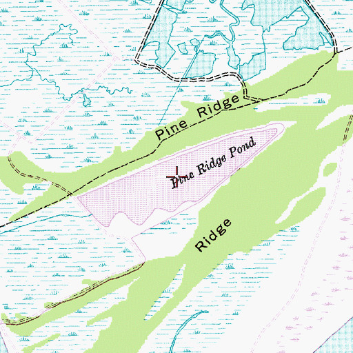 Topographic Map of Pine Ridge Pond, SC