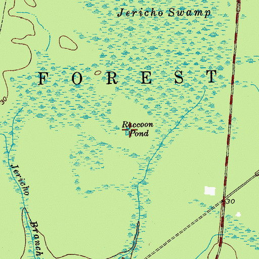 Topographic Map of Raccoon Pond, SC