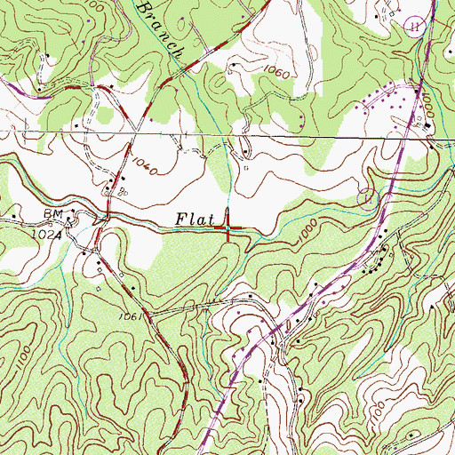 Topographic Map of Reece Branch, SC