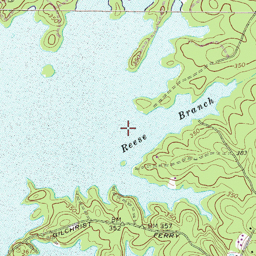 Topographic Map of Reese Branch, SC