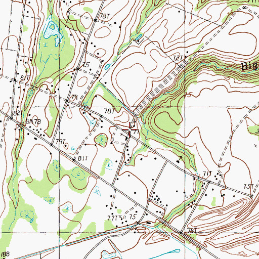 Topographic Map of Saint Matthews Church, SC
