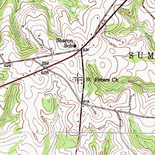 Topographic Map of Saint Peters Church, SC