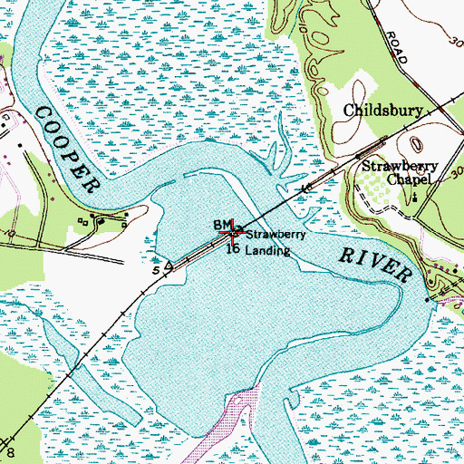 Topographic Map of Strawberry Landing, SC