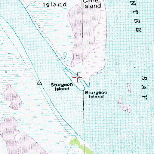 Topographic Map of Sturgeon Island, SC