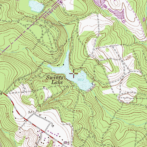 Topographic Map of Swints Lake, SC