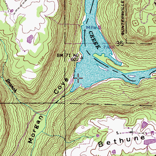 Topographic Map of Morgan Cove, AL