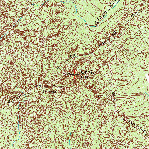 Topographic Map of Turnip Top, SC