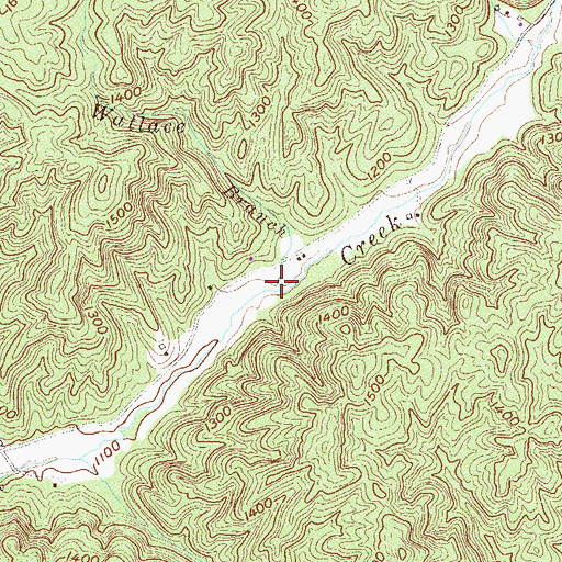 Topographic Map of Wallace Branch, SC