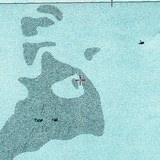 Topographic Map of White Island, SC