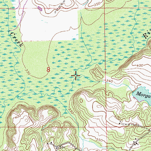 Topographic Map of Morgans Branch, AL