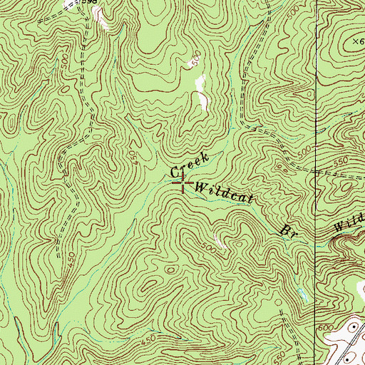 Topographic Map of Wildcat Branch, SC