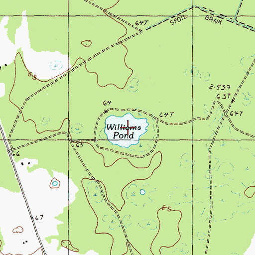 Topographic Map of Williams Pond, SC