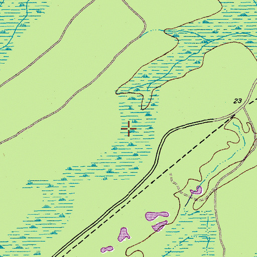 Topographic Map of Willow Hall Swamp, SC