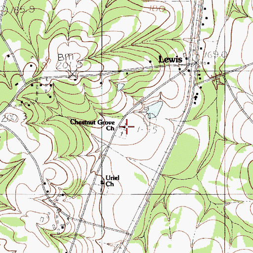 Topographic Map of Chestnut Grove Church, SC