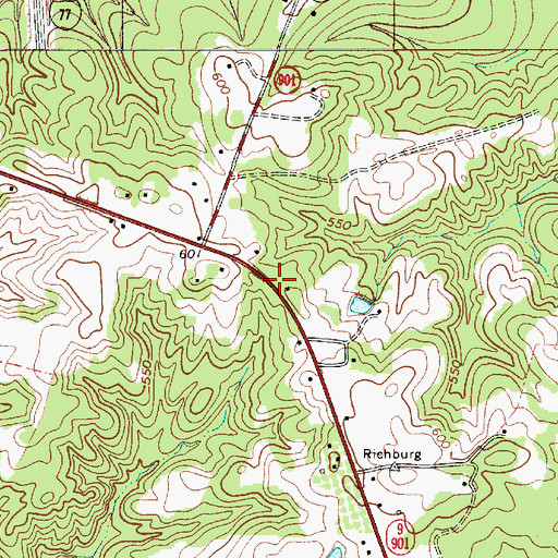 Topographic Map of Lewisville (historical), SC