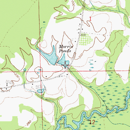 Topographic Map of Morris Pond, AL