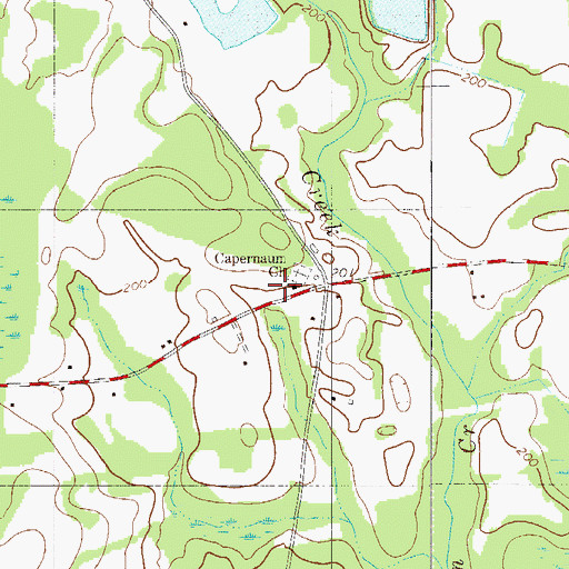 Topographic Map of Capernaum School (historical), SC