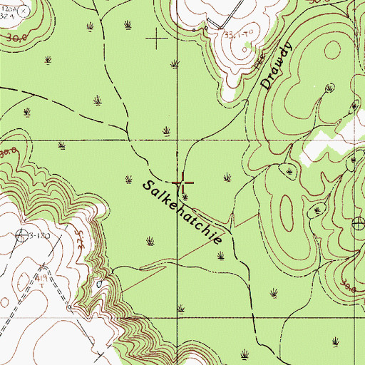 Topographic Map of Drawdy Branch, SC