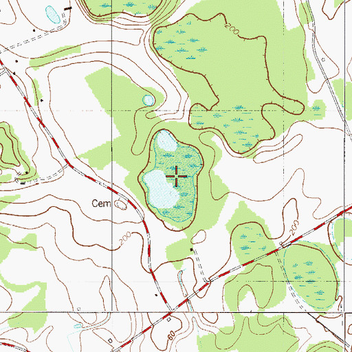 Topographic Map of Flat Pond, SC