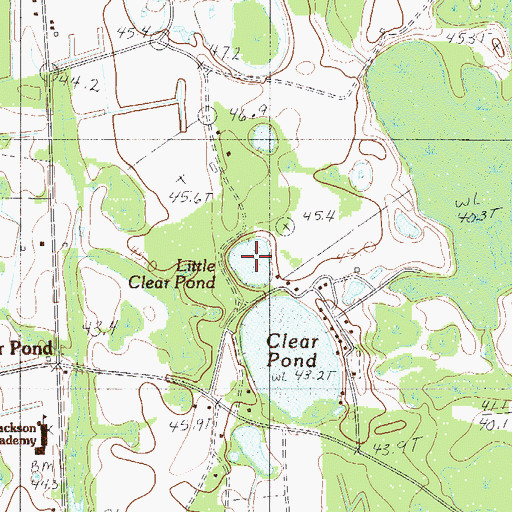 Topographic Map of Little Clear Pond, SC