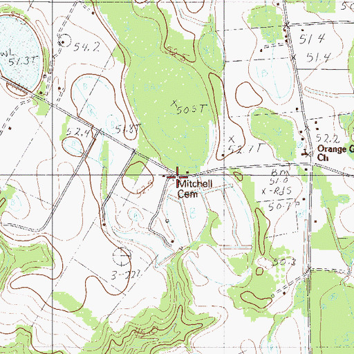 Topographic Map of Mitchell Cemetery, SC