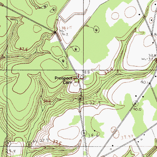 Topographic Map of Prospect Cemetery, SC