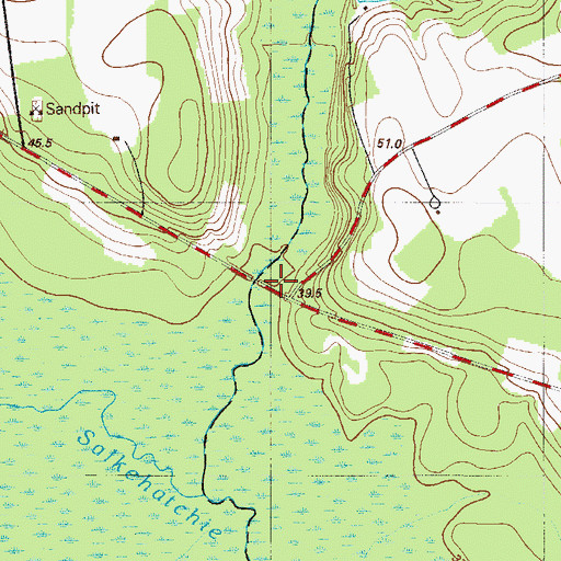 Topographic Map of Rushes Mill (historical), SC