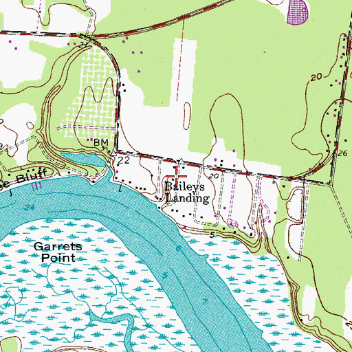 Topographic Map of Baileys Landing, SC