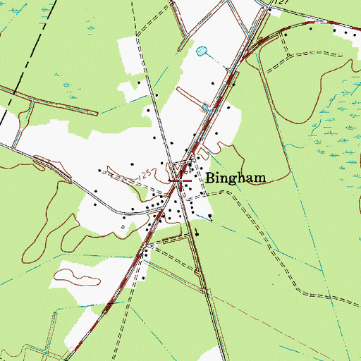 Topographic Map of Bingham, SC