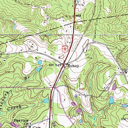 Topographic Map of Boney, SC