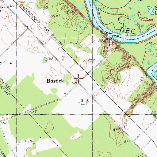 Topographic Map of Bostick, SC