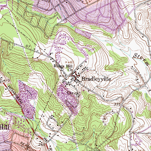 Topographic Map of Bradleyville, SC