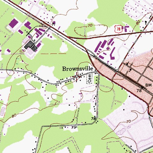 Topographic Map of Brownsville, SC