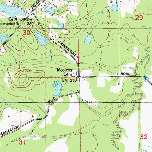 Topographic Map of Mosleys Cemetery, AL