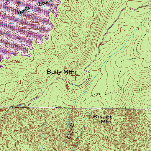 Topographic Map of Bully Mountain, SC